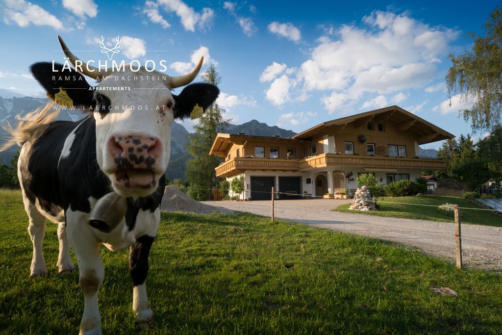Appartements Laerchmoos Рамзау Экстерьер фото